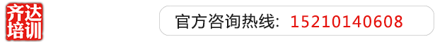 鸡巴操插入电影网齐达艺考文化课-艺术生文化课,艺术类文化课,艺考生文化课logo